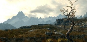 Elder Scrolls MMO in the works?