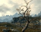 Elder Scrolls MMO in the works?