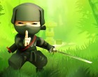 New Mini Ninjas incoming?